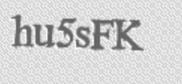 CAPTCHA code